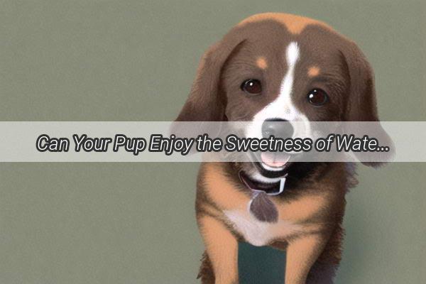 Can Your Pup Enjoy the Sweetness of Watermelon Candies A Surprising Insight